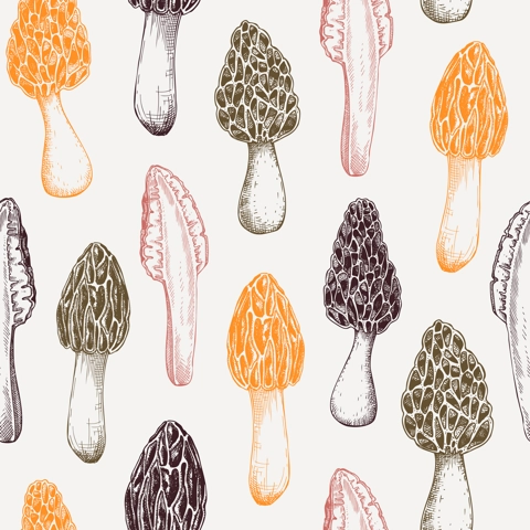 Morel mushroom background. Edible fungus seamless pattern. Morchella mushroom design in color. Fungal protein, mycoprotein source, healthy food, plant-based meat substitutes vintage illustration  